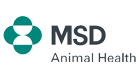msd